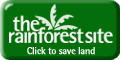 Please Visit The Rain Forest Site